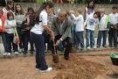/album/galeria-de-fotos-pagina-inicial/crian%c3%a7as%20plantam%20arvore-jpg1/